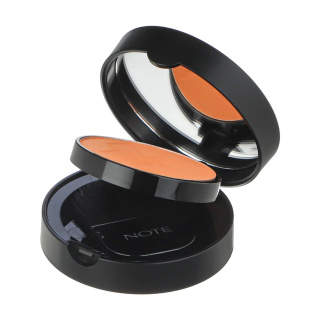 ‫رژ گونه نوت مدل Luminous Silk